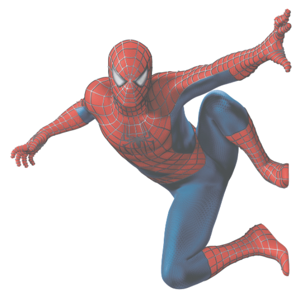 spider